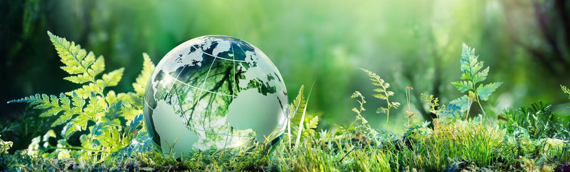 Programme-green-solutions