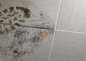 entretien et protection carrelage
